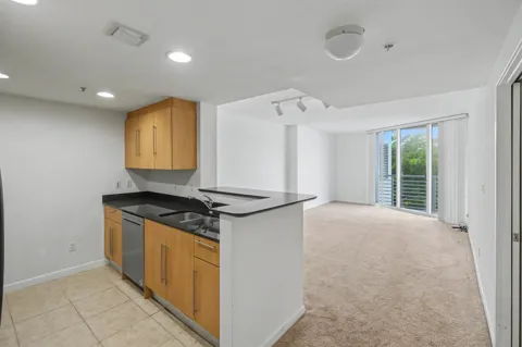 335 S Biscayne Boulevard #1002