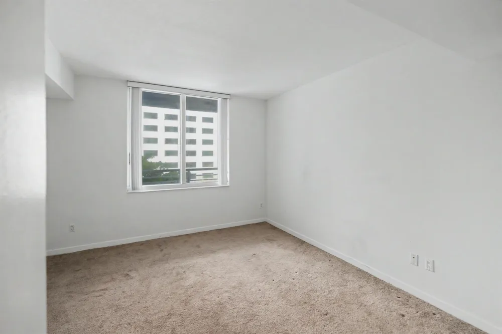 335 S Biscayne Boulevard #1002 Miami, FL 33131