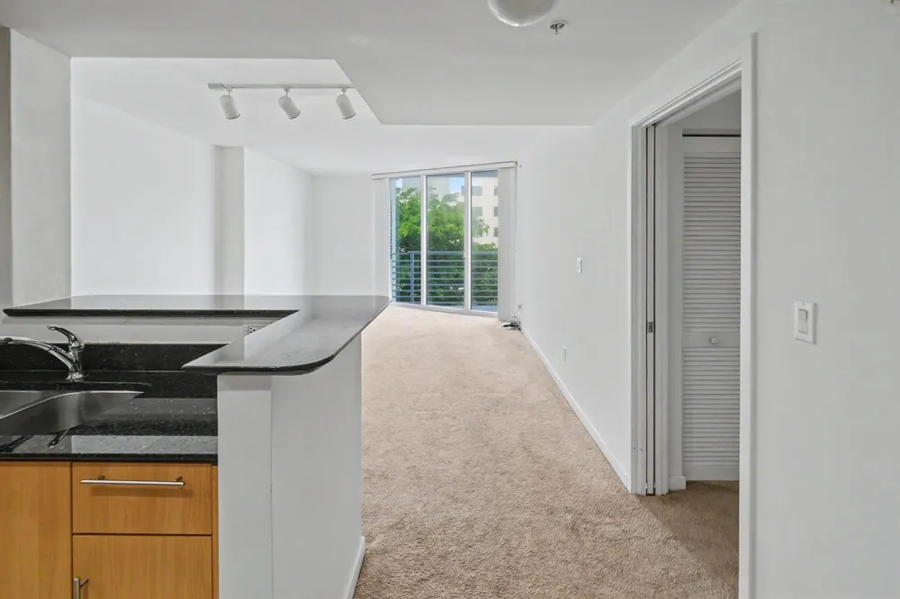 335 S Biscayne Boulevard #1002 Miami, FL 33131