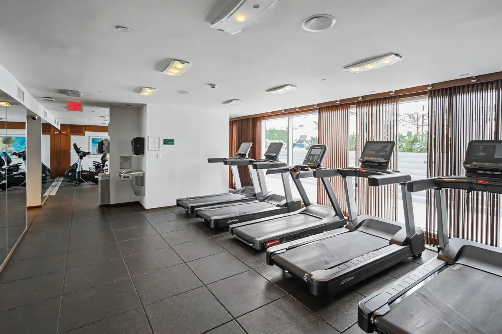 335 S Biscayne Boulevard #1002 Miami, FL 33131