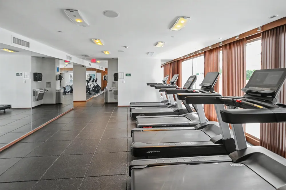 335 S Biscayne Boulevard #1002 Miami, FL 33131