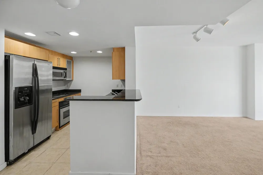 335 S Biscayne Boulevard #1002 Miami, FL 33131