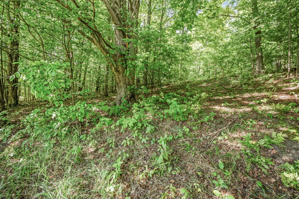 23413 Michigan 115 Tustin, MI 49688