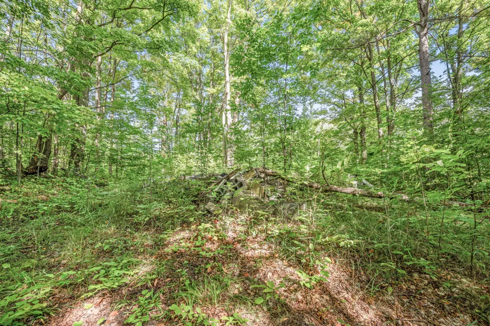 23413 Michigan 115 Tustin, MI 49688