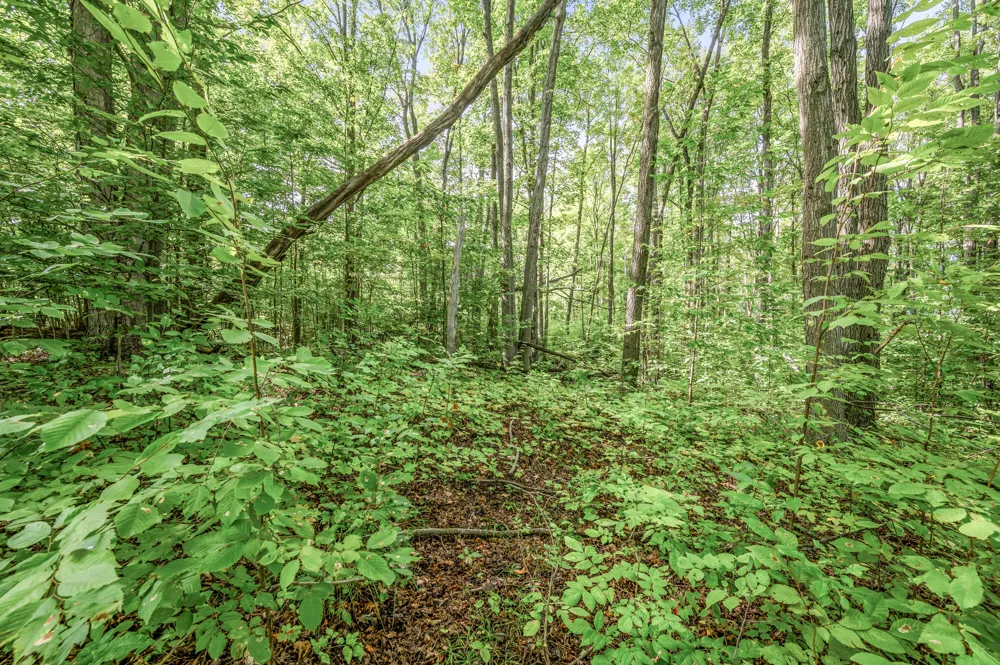 23413 Michigan 115 Tustin, MI 49688