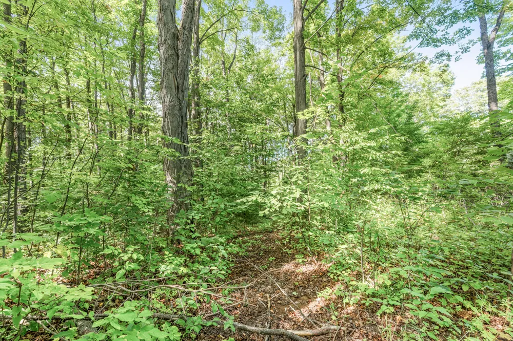 23413 Michigan 115 Tustin, MI 49688