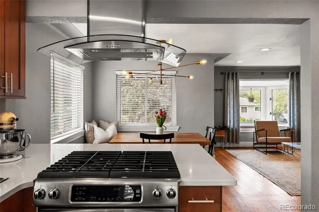 1630 S Saint Paul Street Denver, CO 80210