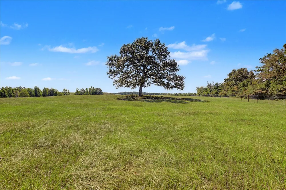 3233 State Highway 19 Trinity, TX 75862
