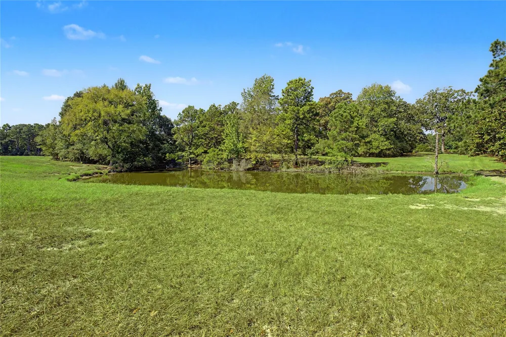 3233 State Highway 19 Trinity, TX 75862
