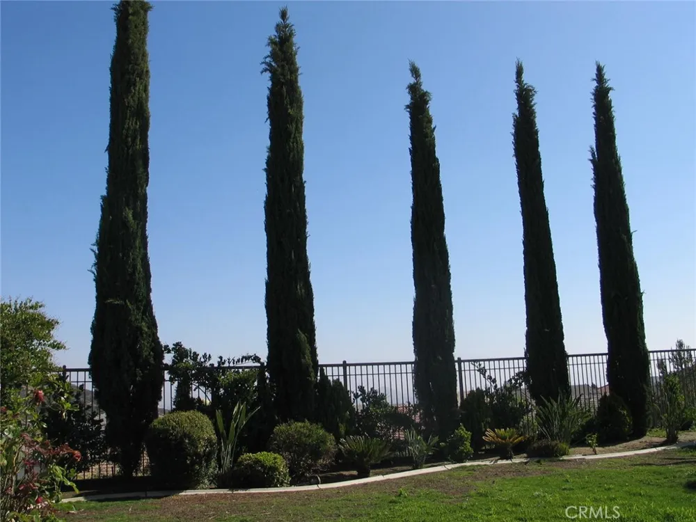 27720 Elderberry Street Murrieta, CA 92562