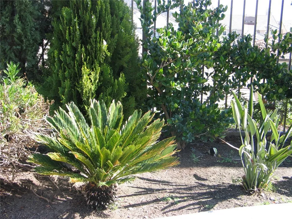 27720 Elderberry Street Murrieta, CA 92562