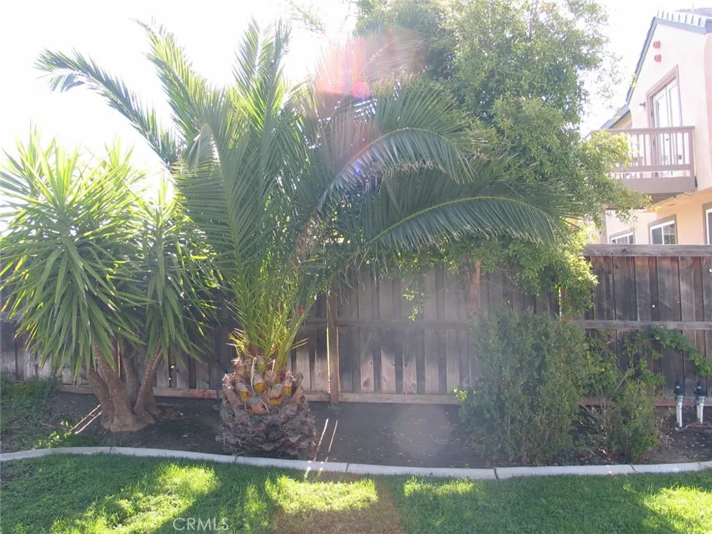 27720 Elderberry Street Murrieta, CA 92562