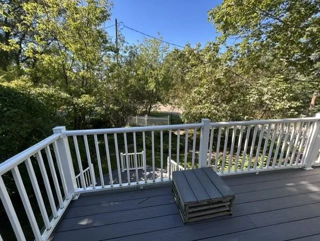2008 Lakeview Drive Baldwin Township, MI 48730