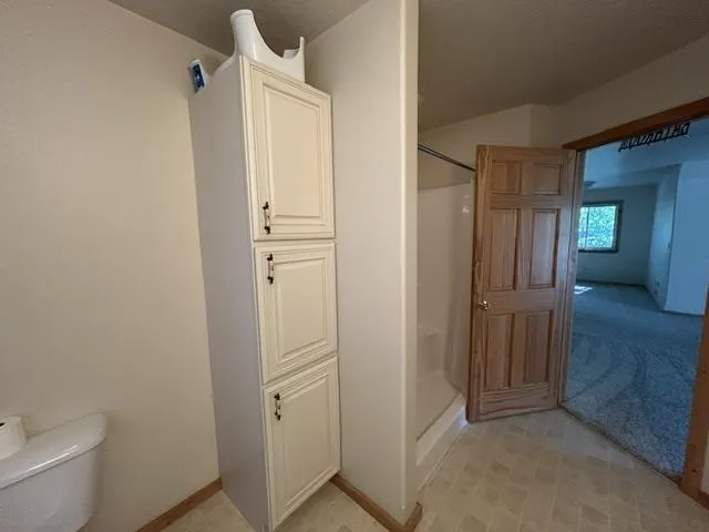2008 Lakeview Drive Baldwin Township, MI 48730