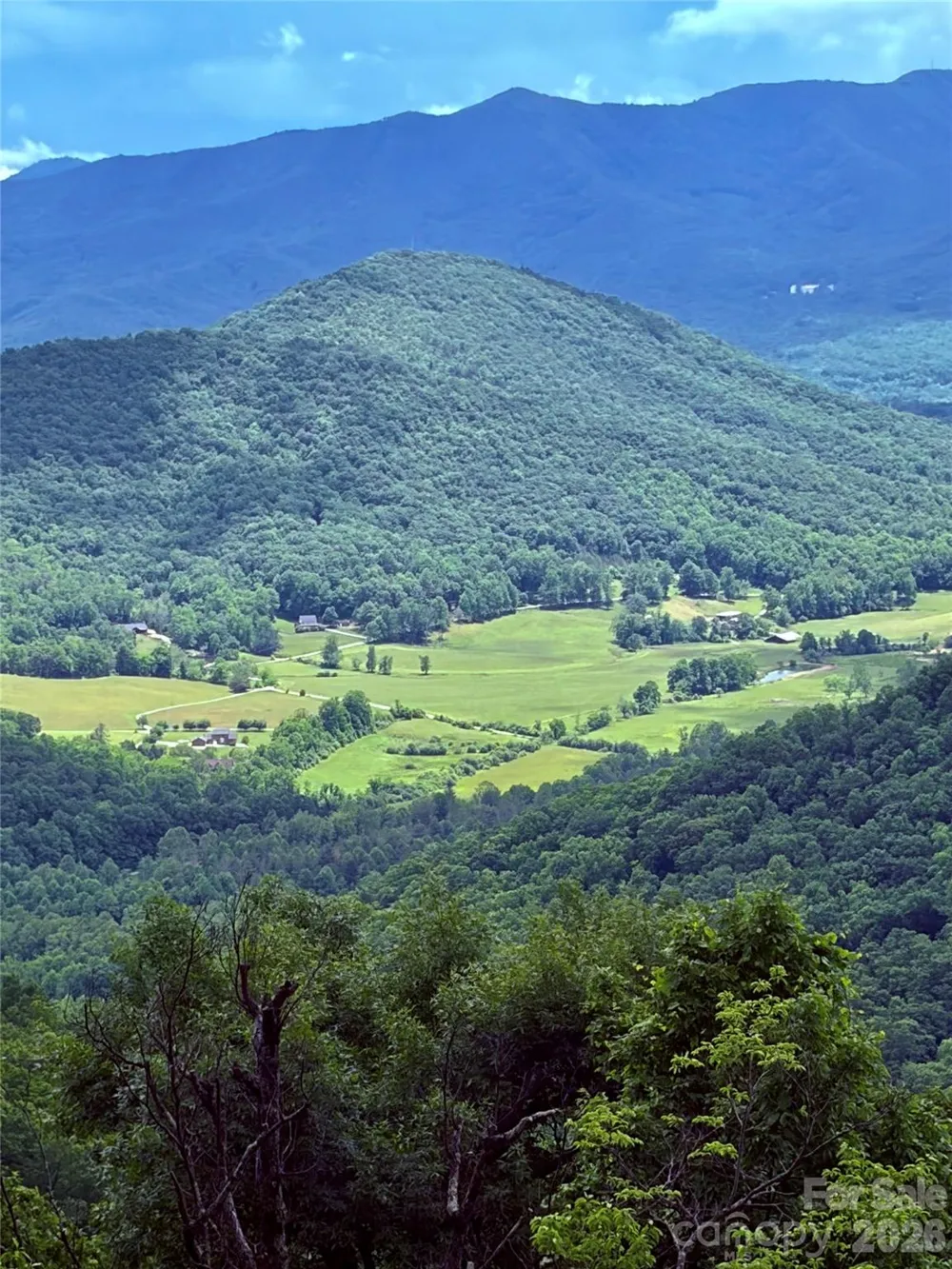 30 Wedgewood Terrace Black Mountain, NC 28711