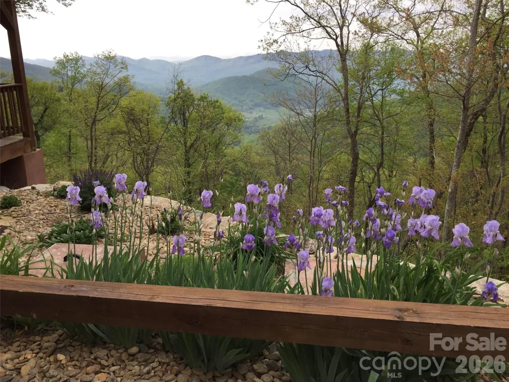 30 Wedgewood Terrace Black Mountain, NC 28711