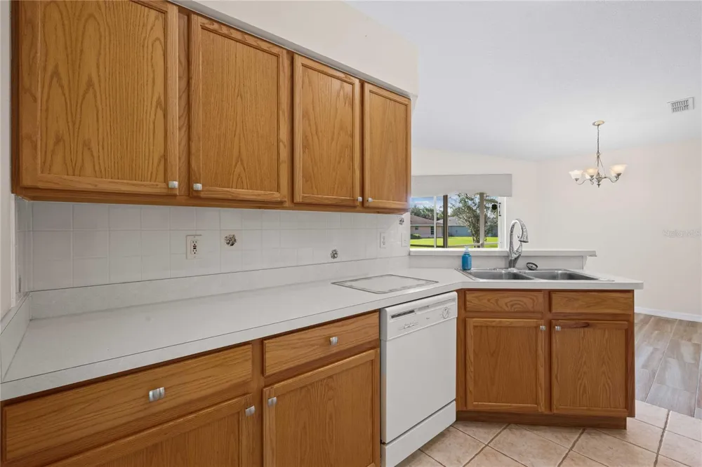 29338 MARKER LOOP San Antonio, FL 33576