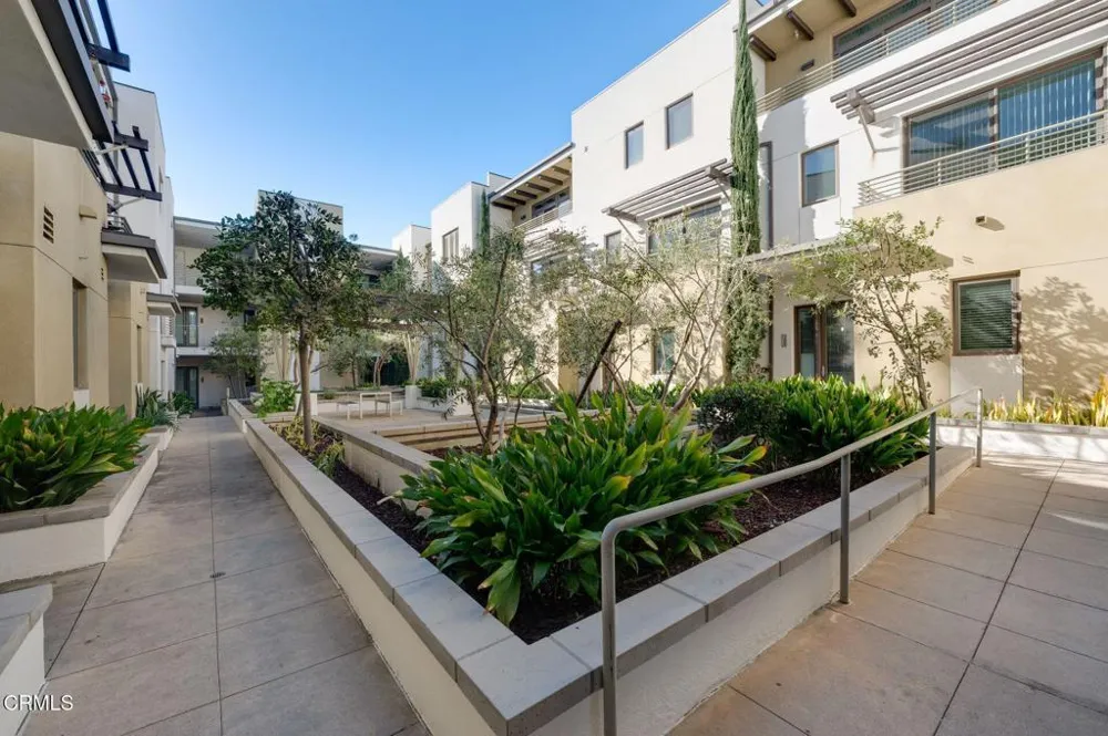 239 S Marengo Avenue #204 Pasadena, CA 91101