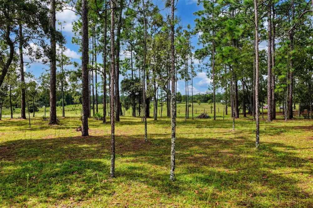 1411 SE STATE ROAD 121 Morriston, FL 32668