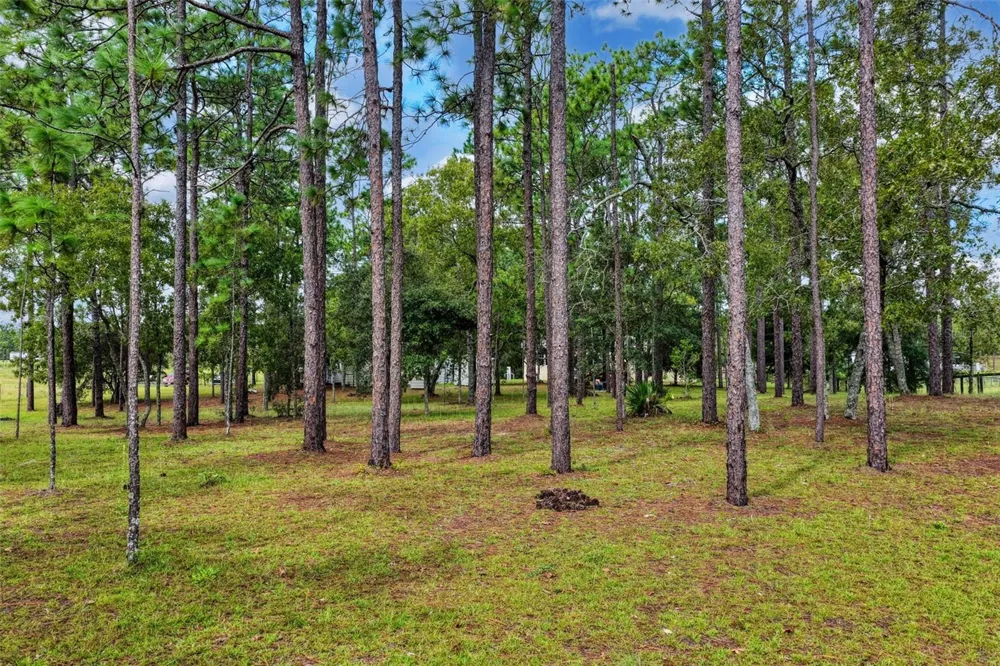1411 SE STATE ROAD 121 Morriston, FL 32668