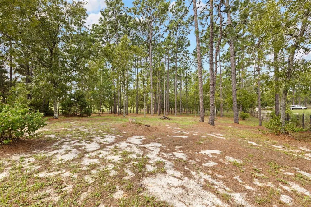1411 SE STATE ROAD 121 Morriston, FL 32668