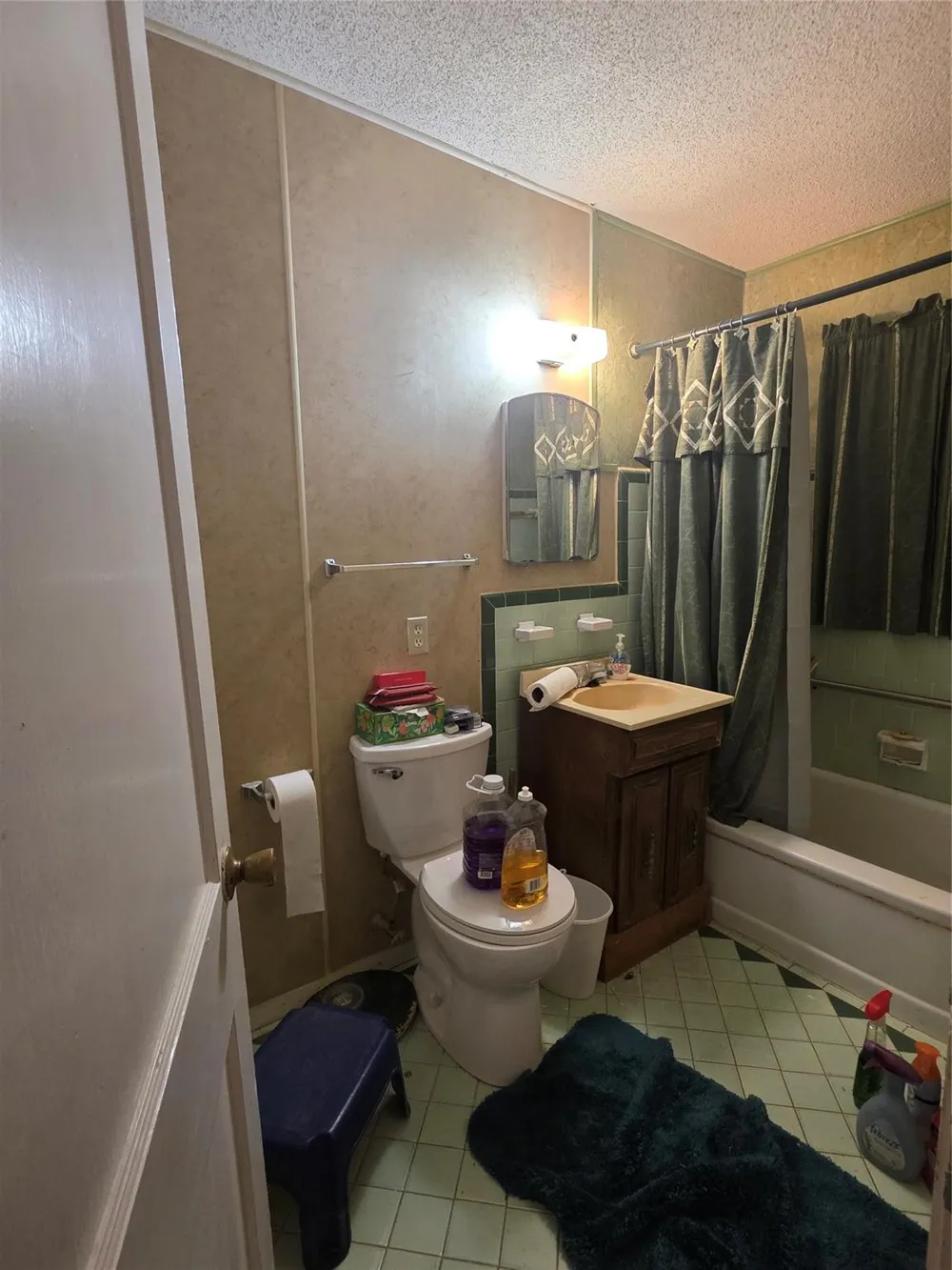 3819 Alberta Street Hockley, TX 77021
