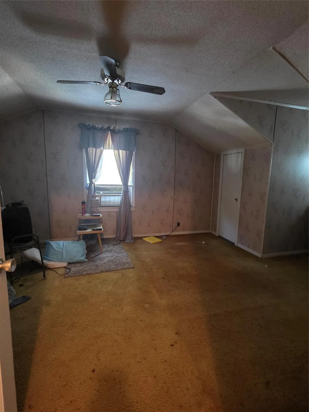3819 Alberta Street Hockley, TX 77021