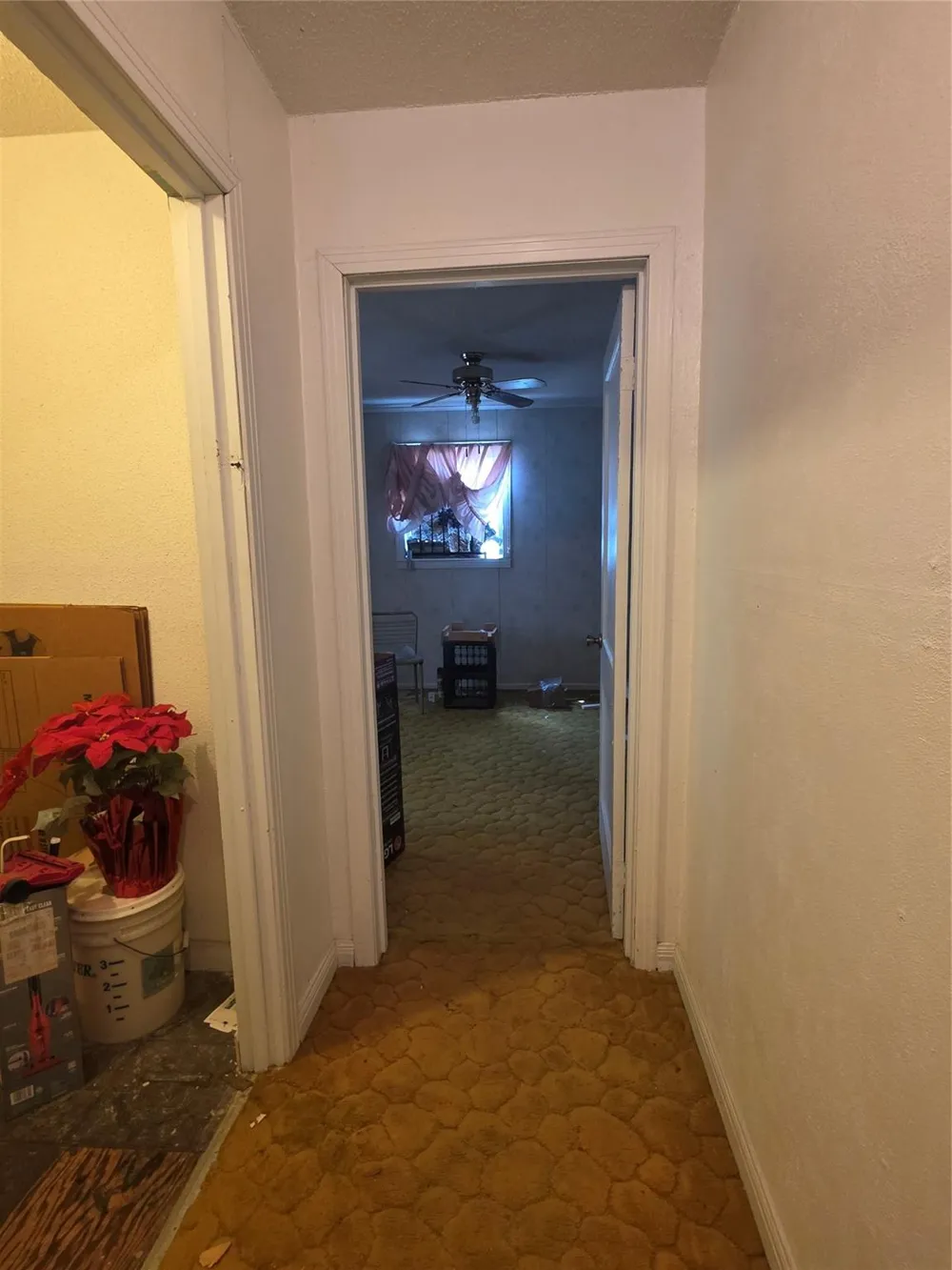 3819 Alberta Street Hockley, TX 77021