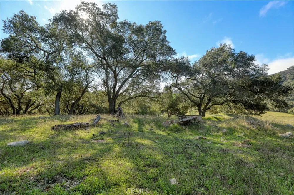 41 Bernice Draper Court Arroyo Grande, CA 93420