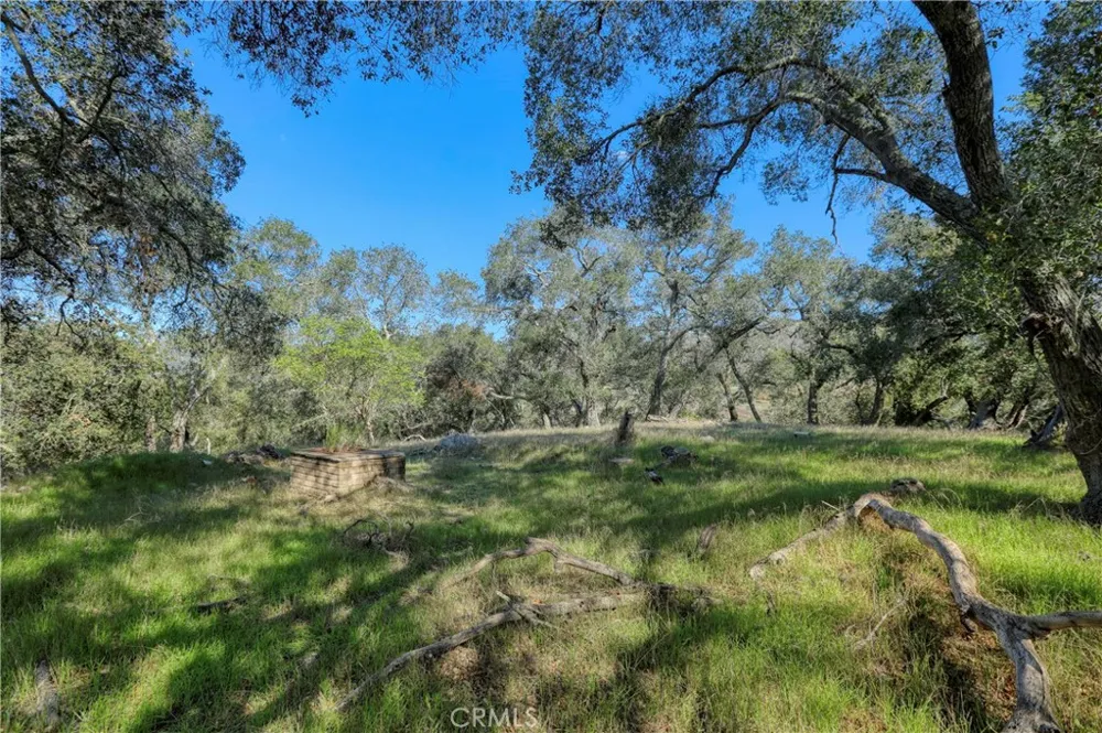 41 Bernice Draper Court Arroyo Grande, CA 93420
