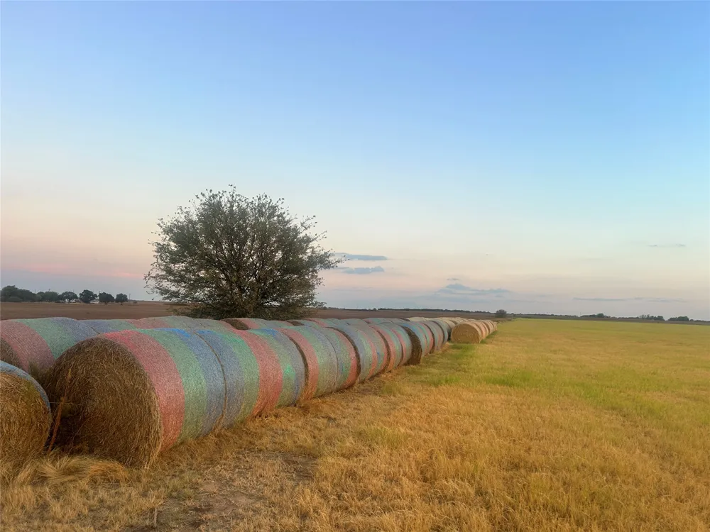 323 Slaughter Megargel, TX 76370