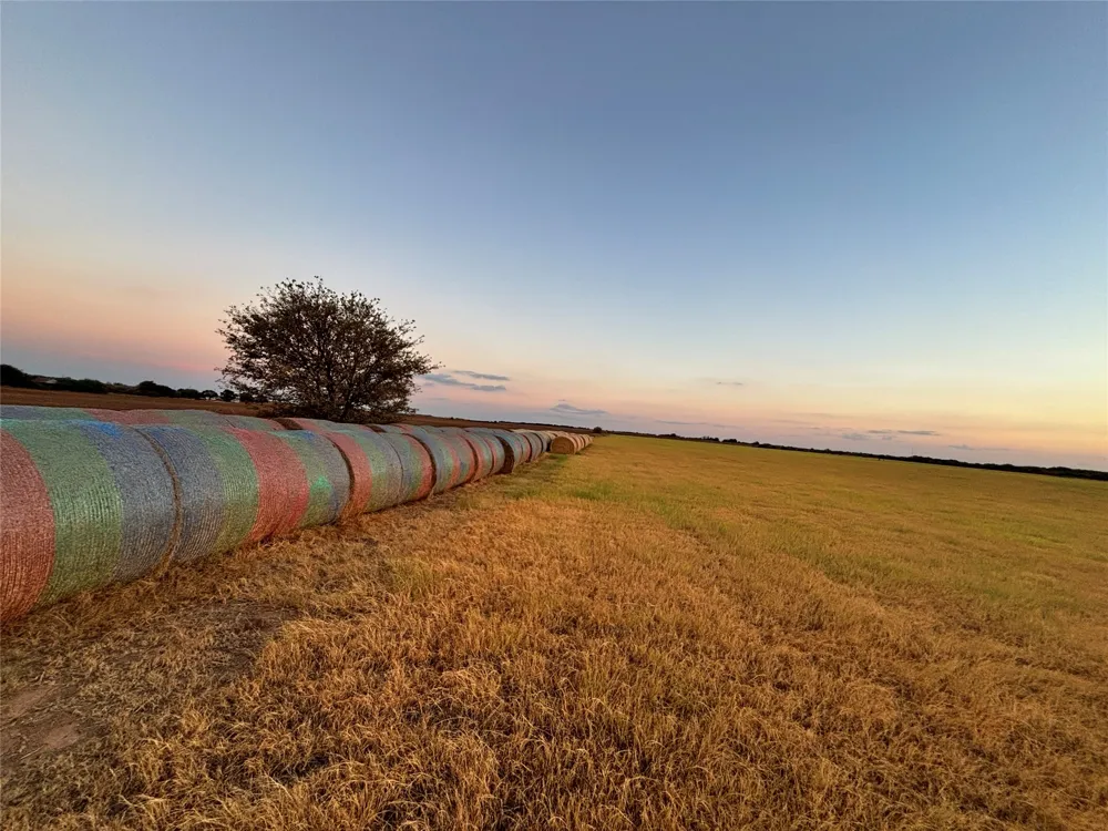 323 Slaughter Megargel, TX 76370