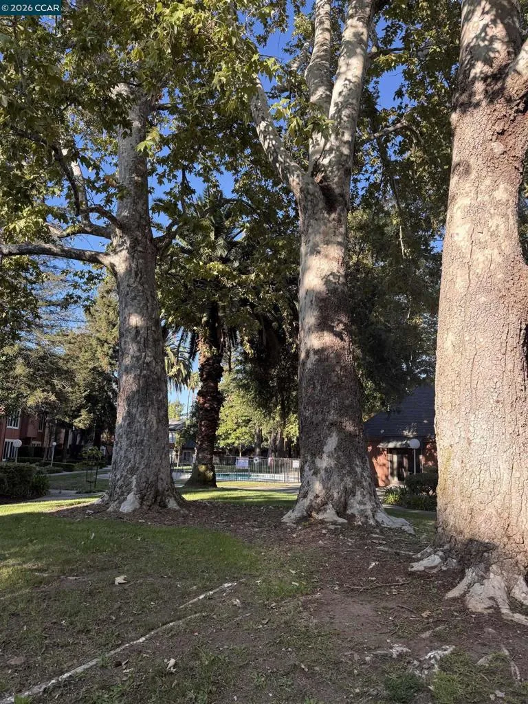 810 Oak Grove Rd #111 Concord, CA 94518