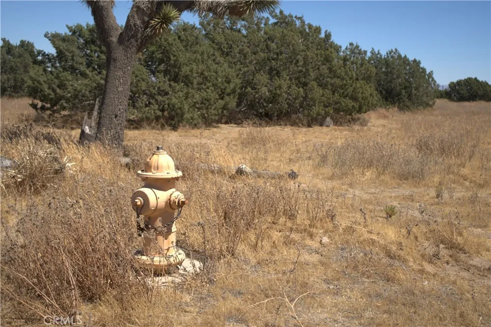Fremontia Road Oak Hills, CA 92344