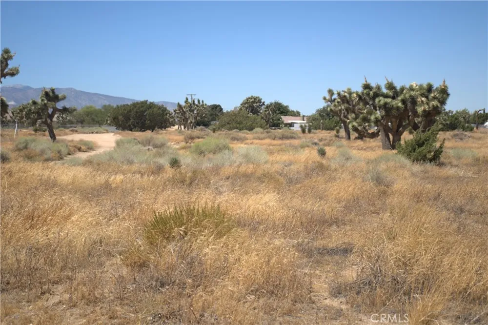 Fremontia Road Oak Hills, CA 92344