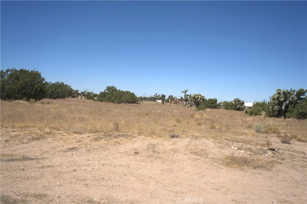 Fremontia Road Oak Hills, CA 92344