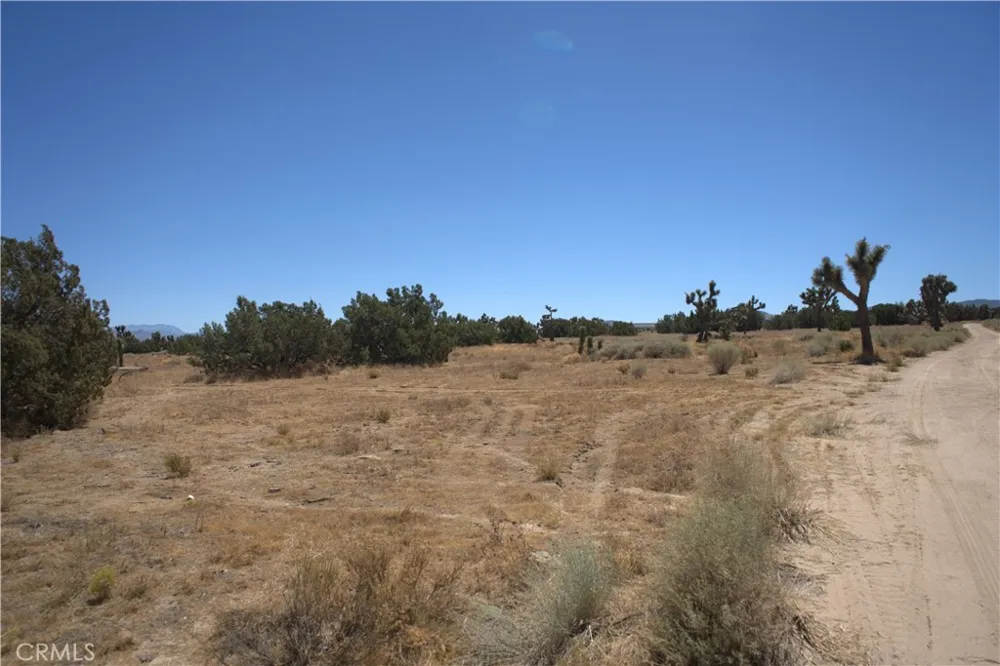 Fremontia Road Oak Hills, CA 92344