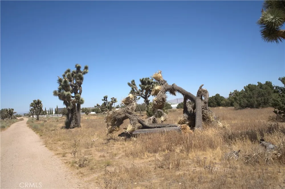 Fremontia Road Oak Hills, CA 92344