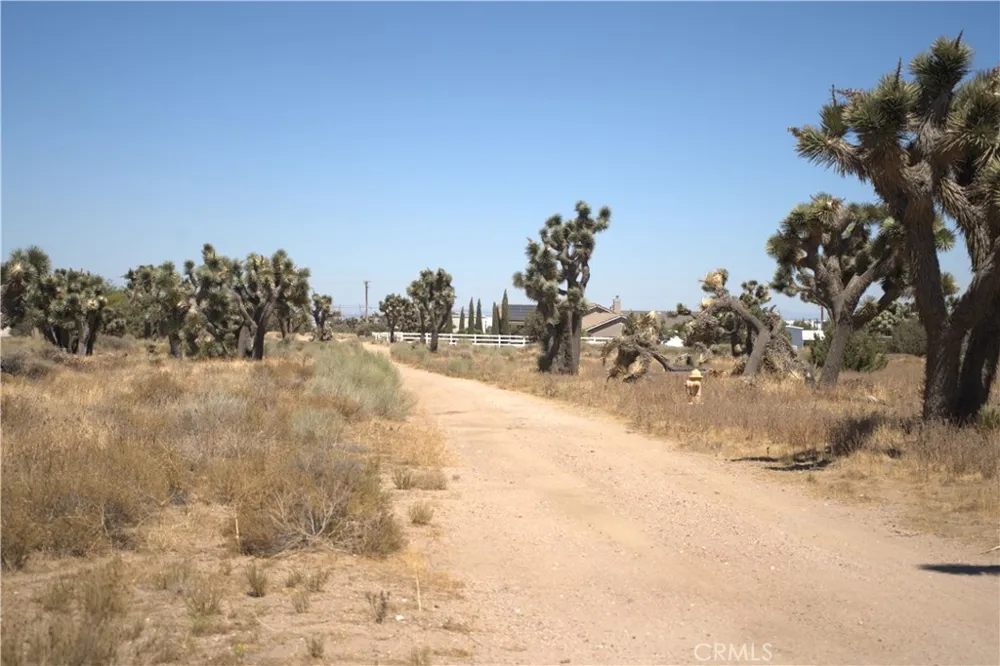 Fremontia Road Oak Hills, CA 92344