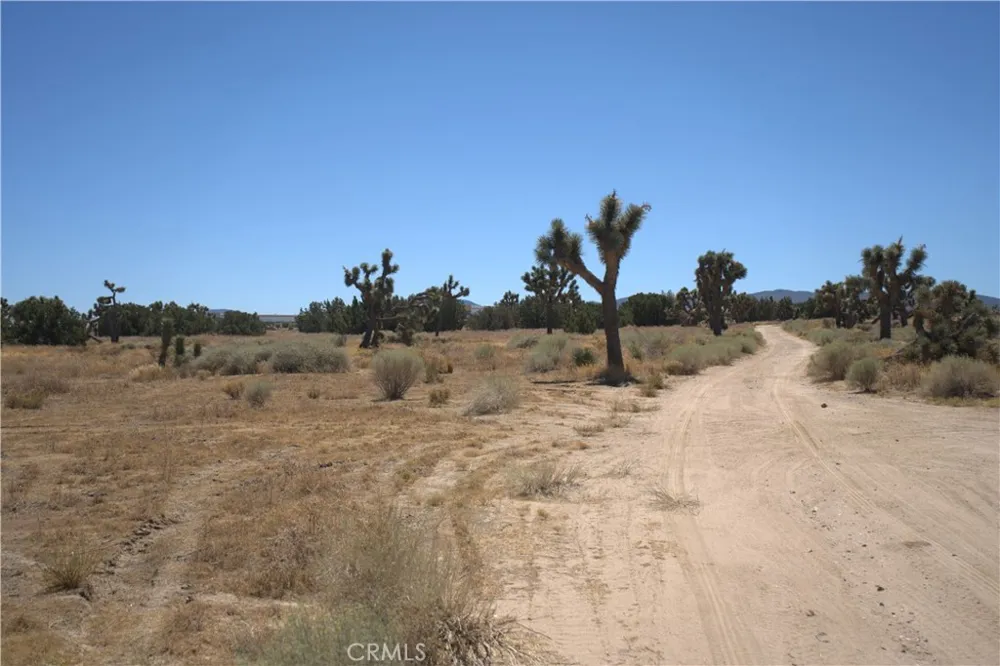 Fremontia Road Oak Hills, CA 92344