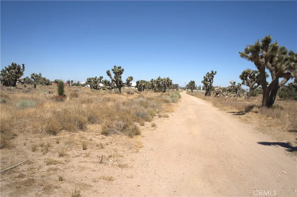 Fremontia Road Oak Hills, CA 92344