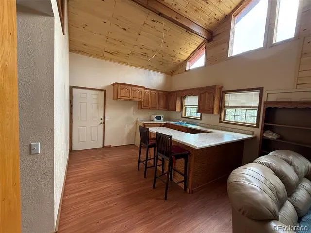 2704 Purnell Lane Fort Garland, CO 81133