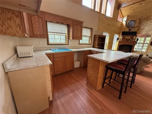 2704 Purnell Lane Fort Garland, CO 81133