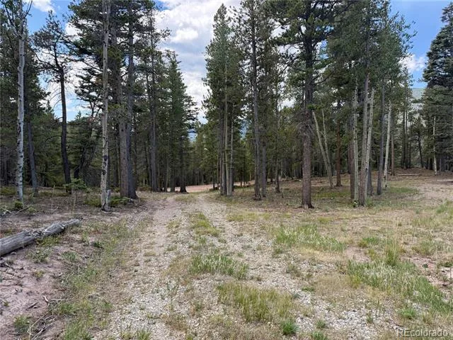 2704 Purnell Lane Fort Garland, CO 81133