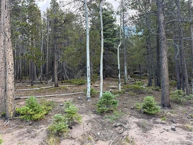 2704 Purnell Lane Fort Garland, CO 81133