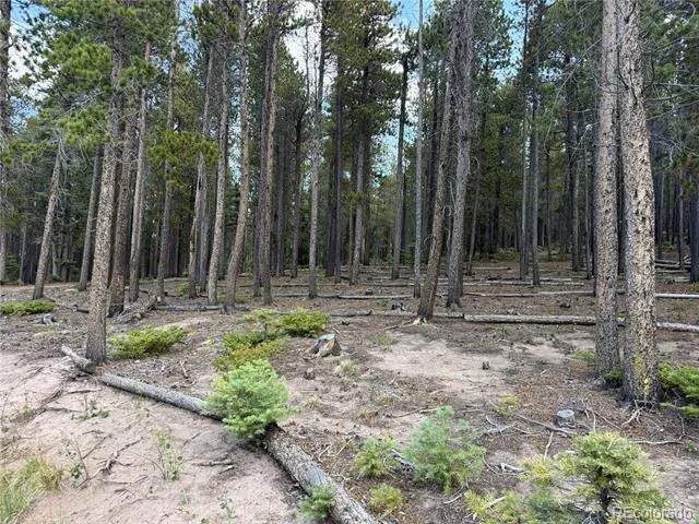 2704 Purnell Lane Fort Garland, CO 81133