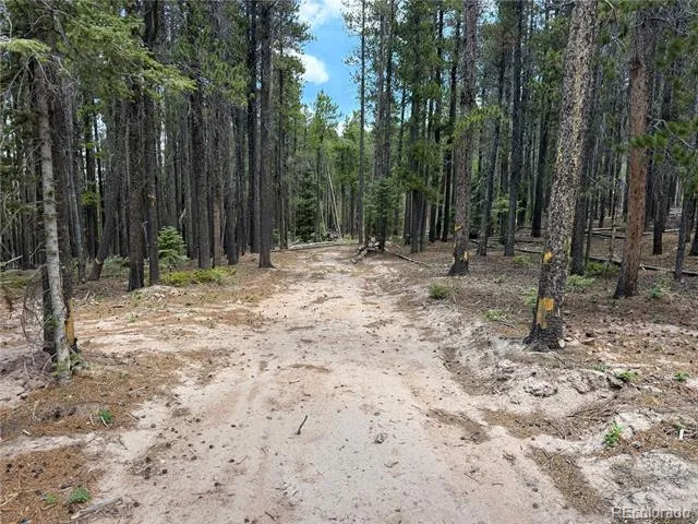 2704 Purnell Lane Fort Garland, CO 81133