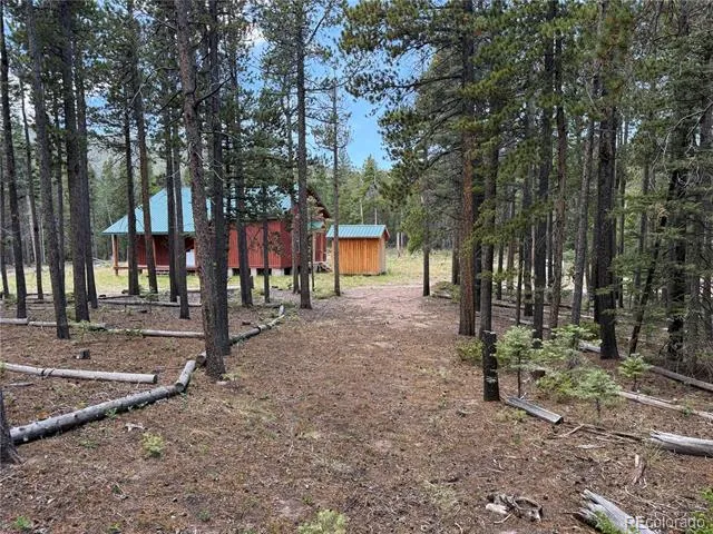2704 Purnell Lane Fort Garland, CO 81133