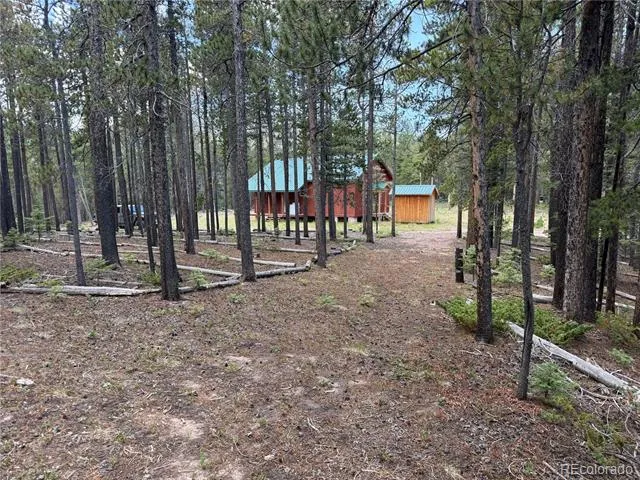 2704 Purnell Lane Fort Garland, CO 81133
