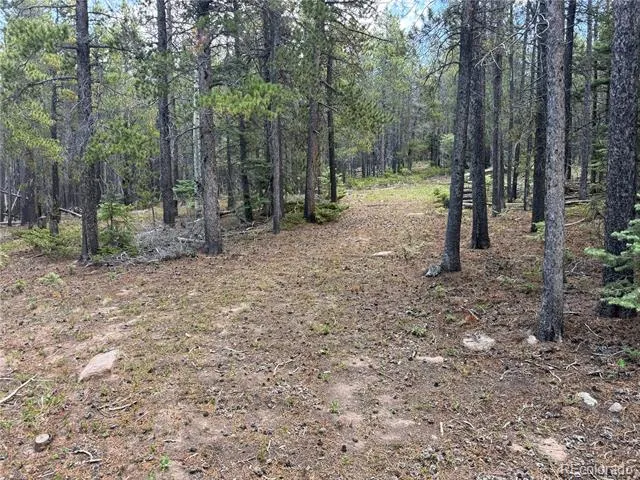 2704 Purnell Lane Fort Garland, CO 81133